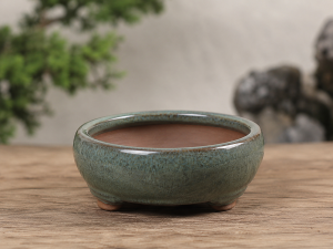 chậu gốm bonsai mini