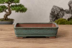 chậu gốm bonsai mini