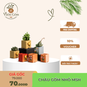 Chậu Cây Mini Gốm Sứ Dễ Thương Trang Trí Bàn Làm Việc – Chậu Trồng Sen Đá, Xương Rồng Decor Nhà Cửa