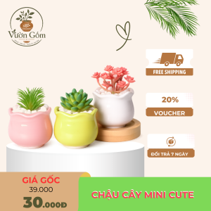 Chậu Cây Mini Gốm Sứ Dễ Thương Trang Trí Bàn Làm Việc – Chậu Trồng Xương Rồng, Sen Đá Decor Nhà Cửa