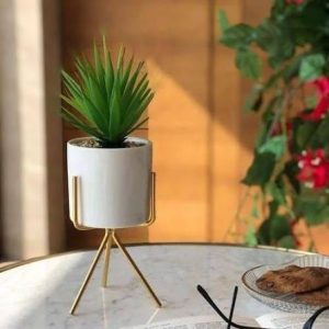 Các mẫu chậu gốm mini để bàn
