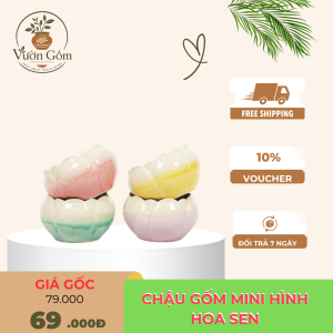 Chậu gốm mini hình hoa sen