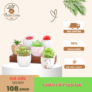 Chậu Cây Sen Đá Mini Gốm Sứ Men Trắng Trang Trí Bàn Làm Việc, Phòng Khách, Văn Phòng