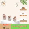 Bộ chậu gốm mini trồng cây