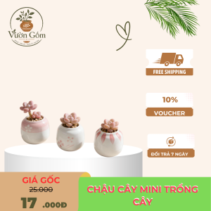 Bộ chậu gốm mini trồng cây