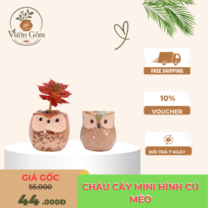 Chậu gốm mini hình cú mèo