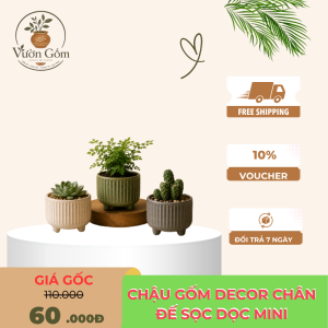 Chậu Gốm Decor Chân Đế Sọc Dọc Mini
